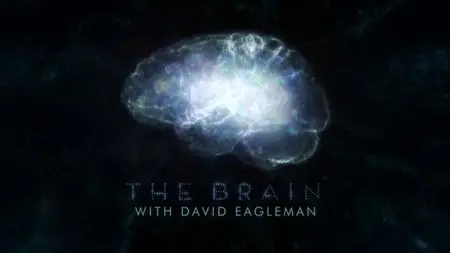 PBS - The Brain with David Eagleman (2015)