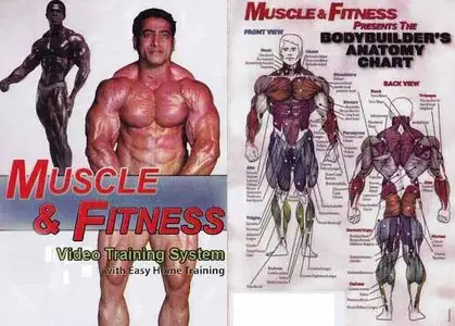 Bodybuilding Video Training System  Muscle and Fitness