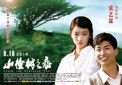 Under the Hawthorn Tree / Shan zha shu zhi lian / Под ветвями боярышника (2006)