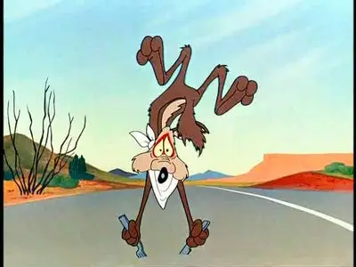 Wile E. Coyote and Road Runner (46 series, 1949-2003)