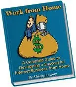 A Complete Guide to Developing a Successful Internet Business from Home