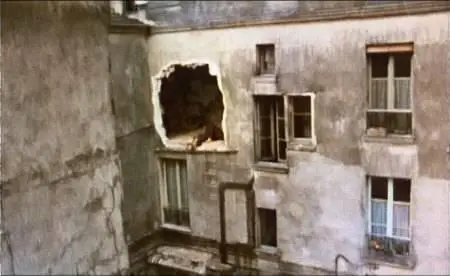 Claude Faraldo-Themroc (1972)