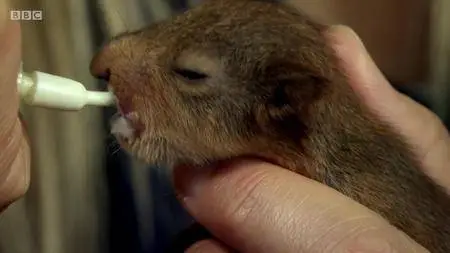 Natural World S38E06