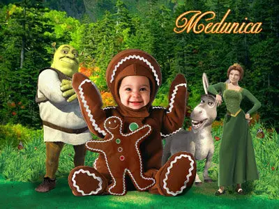 Template for Photoshop - honey-cake little fellow