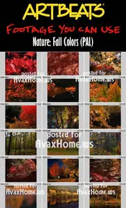 Artbeats Nature: Fall Colors (PAL)