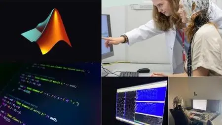 Beginner Matlab Course For Neuroscience And Psychology