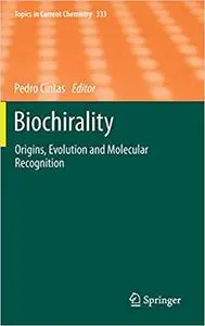 Biochirality: Origins, Evolution and Molecular Recognition