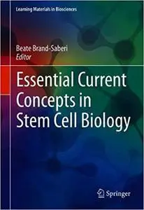 Essential Current Concepts in Stem Cell Biology