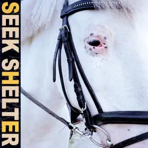 Iceage - Seek Shelter (2021) [Official Digital Download 24/48]