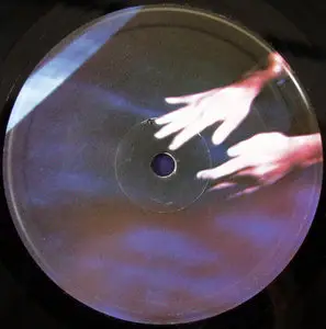 Siouxsie and the Banshees - The Scream (UK Original) Vinyl rip in 24 Bit/ 96 Khz + CD 