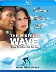 The Perfect Wave (2014)