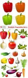 Vectors - Realistic Vegetables Set 5