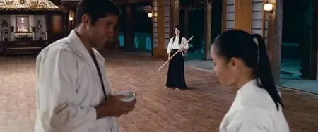 Ninja (2009)