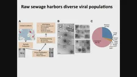 Coursera - Virology I - How Viruses Work