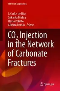 CO2 Injection in the Network of Carbonate Fractures