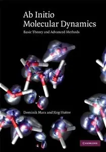 Ab Initio Molecular Dynamics: Basic Theory and Advanced Methods (Repost)