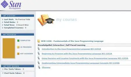 Sun.Microsystems.Fundamentals.of.the.Java.Programming.Language.WJB.110A-SoSISO