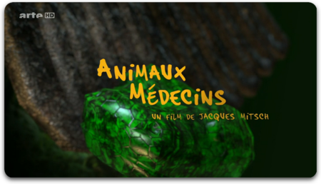 Animaux Médecins (2014)