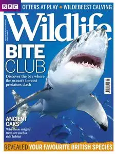 BBC Wildlife - August 2013