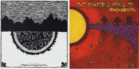 The Spacious Mind - 2 Studio Albums (1994-1999)