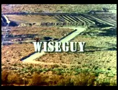 Wiseguy TV Movie 1996