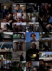Bitter Vengeance (1994) 
