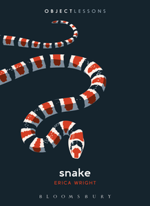 Snake (Object Lessons)
