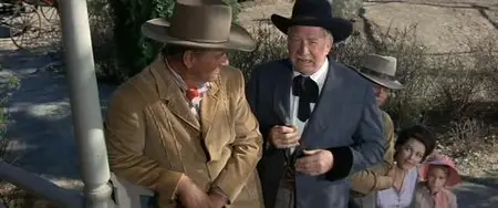 McLintock! (1963)