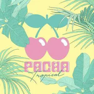 VA - Pacha Tropical (2016)