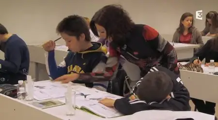(Fr3) Enfants précoces, le paradoxe (2014)