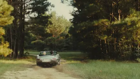 Straw Dogs (2011)