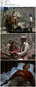 High Noon, Part II: The Return of Will Kane (1980)