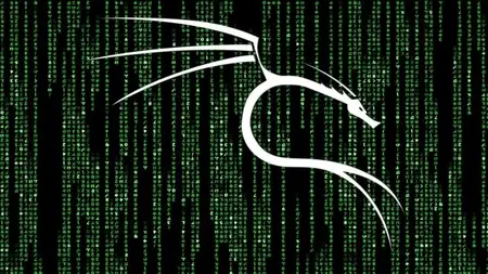 Professional Ethical Hacker with Kali Linux v2025