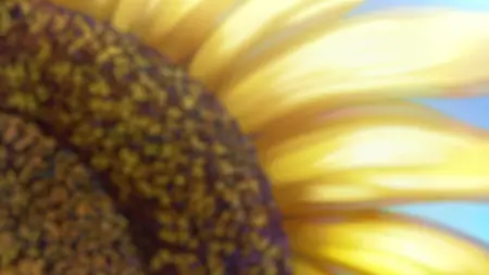 Watari-Kuns  Is About To Collapse S01E05 Ideal Partner