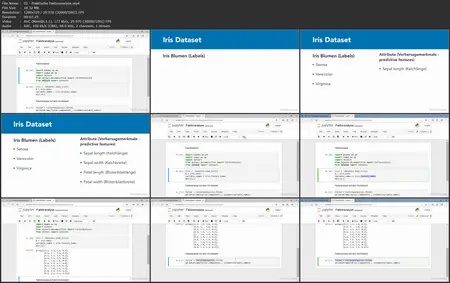 Python für die Datenanalyse 2: Machine Learning