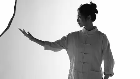 Chen-Style Tai Chi Chuan: Celestial Evolution Nine Forms