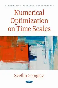 Numerical Optimization on Time Scales