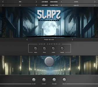 Diamond Loopz Slapz VST v2.0 (Win/macOS)