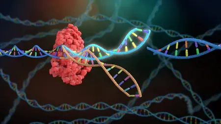 CRISPR Protocol
