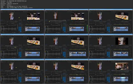 Adobe Premiere Pro Masterclass: Video Editing for Beginners