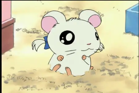 Hamtaro 4 mkv