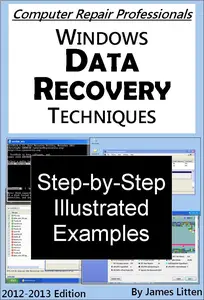 Windows Data Recovery Techniques (Computer Repair Professionals)