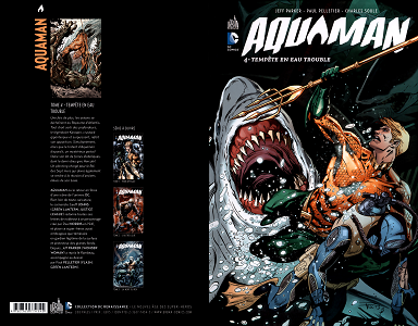Aquaman - Tome 4 - Tempête En Eau Trouble (DC Renaissance)