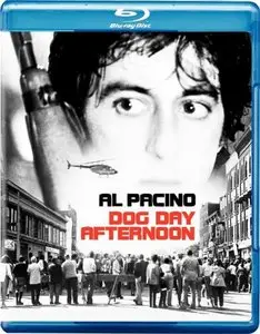 Dog Day Afternoon (1975)