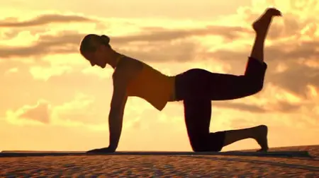 Shiva Rea - Radiant Heart Yoga (2007)