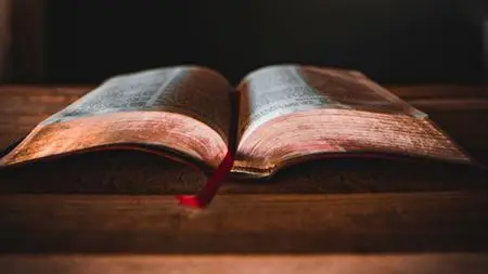 Bible Prophecy