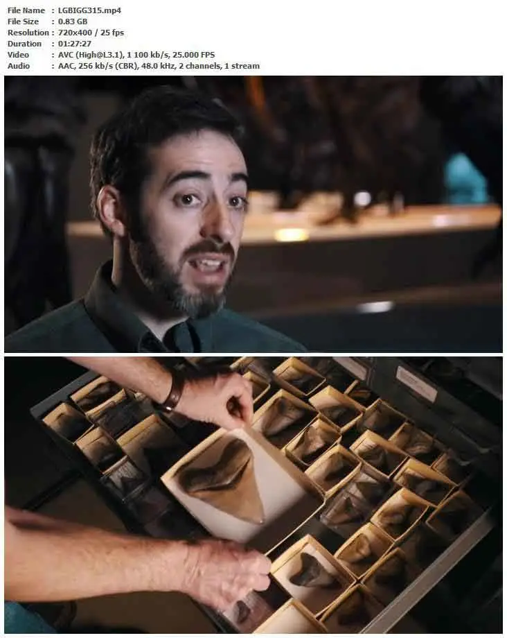 Top 10 Biggest Beasts Ever (2015) / AvaxHome