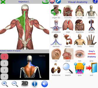 Visual Anatomy 2 v3.2