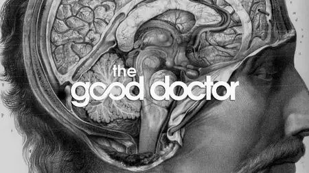 The Good Doctor S05E02