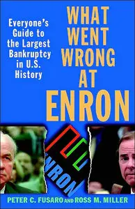 What Went Wrong at Enron: Everyone's Guide to the Largest Bankruptcy in U.S. History (repost)